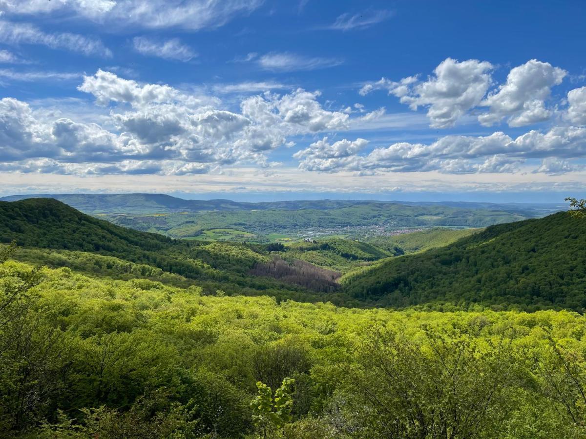 Ferienwohnung Am Kalkweg Бад-Зоден-Аллендорф Екстер'єр фото