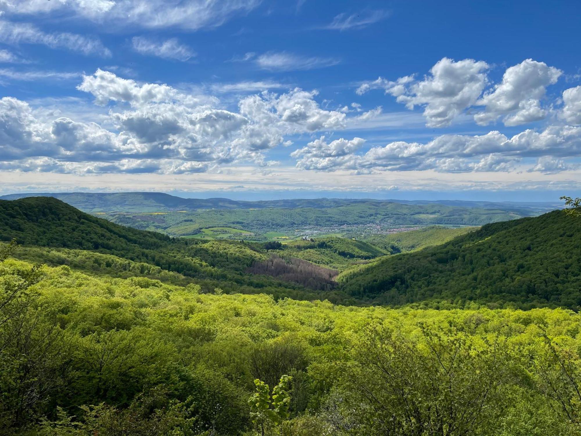 Ferienwohnung Am Kalkweg Бад-Зоден-Аллендорф Екстер'єр фото